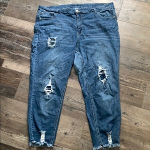 Almost Famous distressed high rise plus size 22